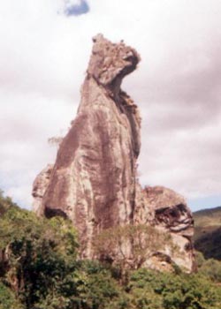 Cão Sentado - Nova Friburgo - RJ